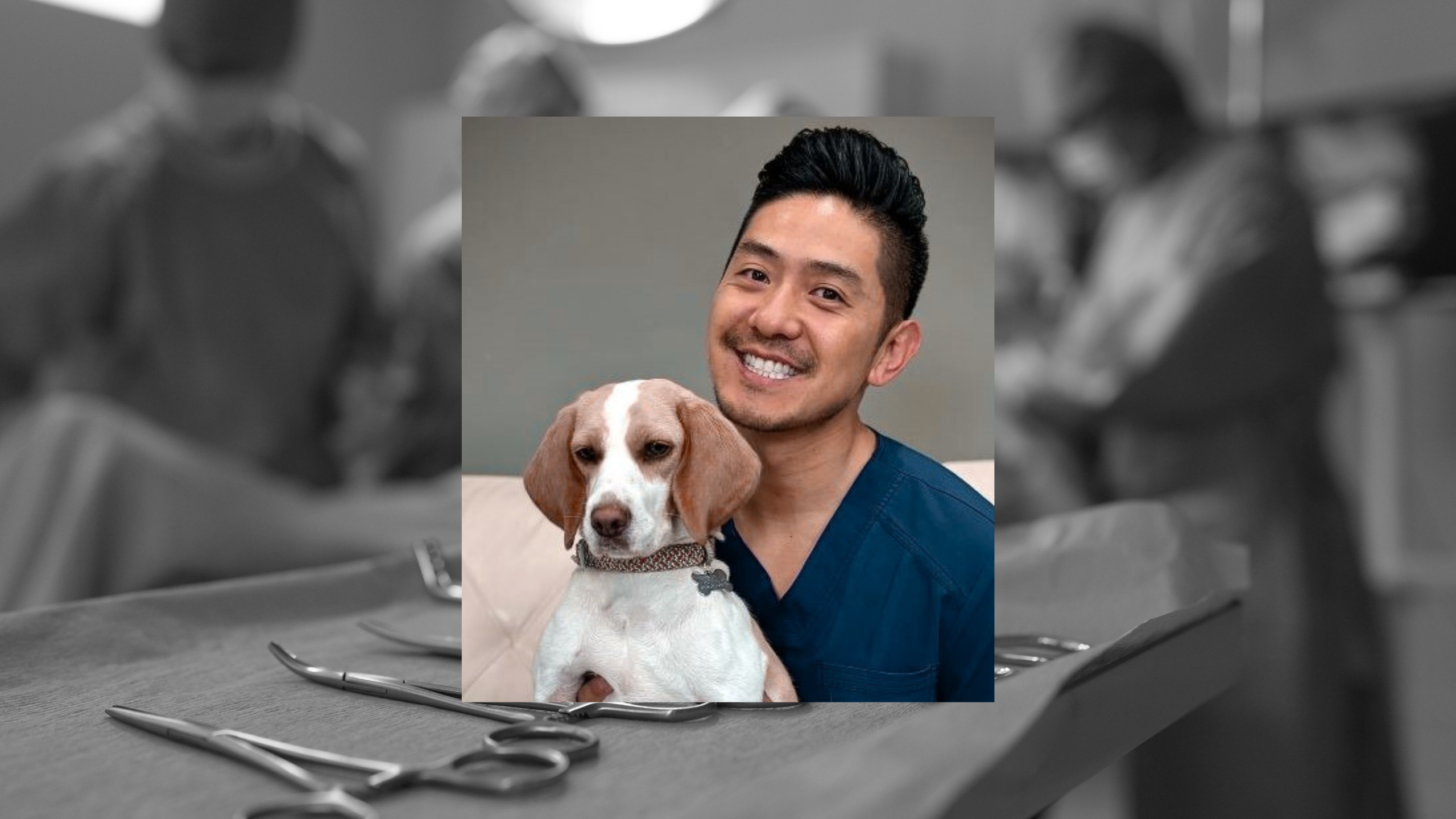 TPLO Advice from a Surgeon image